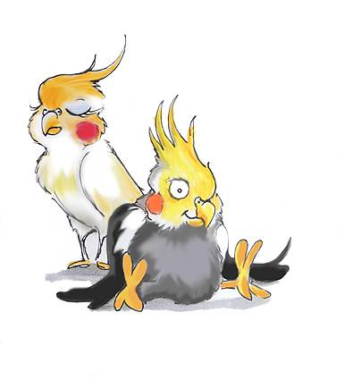 maskottchen1.jpg