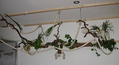 484tina_spielplatz_11.jpg 484tina_spielplatz_11.jpg