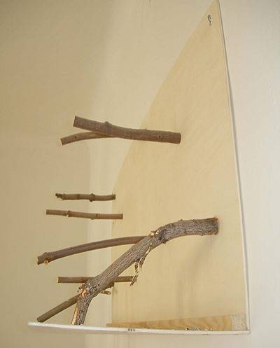 fraeuleing_kletterwand_3.jpg fraeuleing_kletterwand_3.jpg