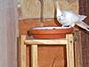 jantin_futterstaender_t_b.jpg