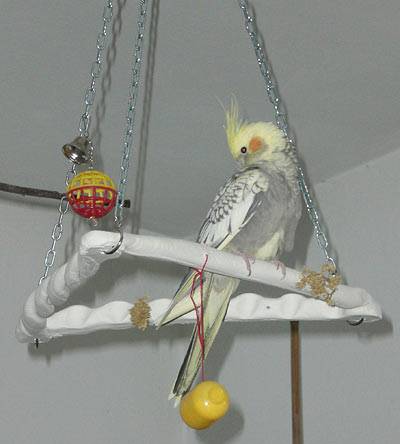 ladychaos_tontriangel_01.jpg ladychaos_tontriangel_01.jpg