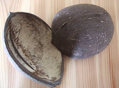 material_kokos.jpg