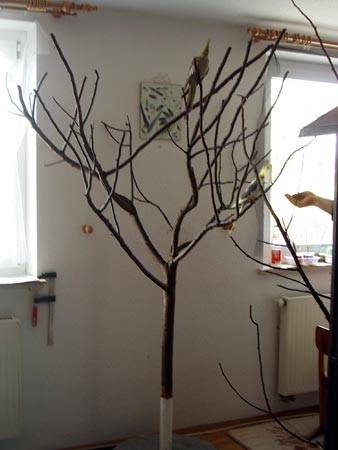 natsge_vogelbaum_0.jpg