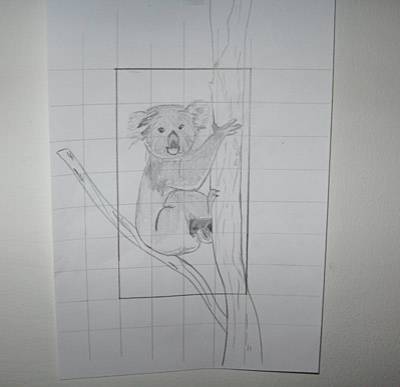sun_koala_2.jpg sun_koala_2.jpg