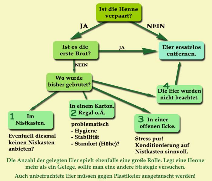 brutplan.jpg