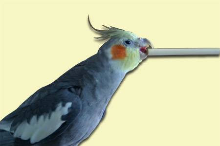 click5.jpg