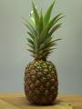 ananas_t.jpg