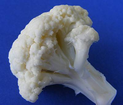 blumenkohl_5.jpg