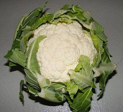 blumenkohl_6.jpg