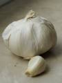 knoblauch_1.jpg