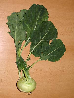 kohlrabi1.jpg