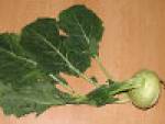 kohlrabib.jpg