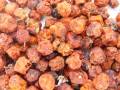 ebereschenbeeren.jpg