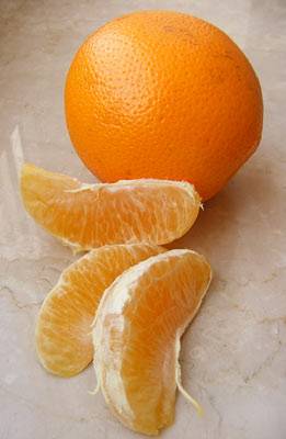 orange1.jpg orange1.jpg