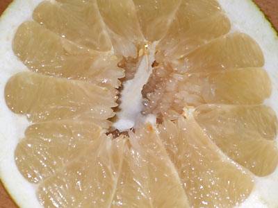 pomelo2.jpg