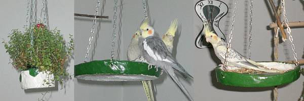 vogelwohnzimmer_bine_9.jpg