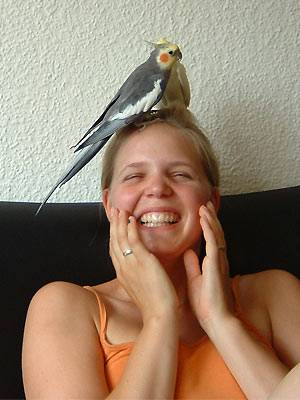 vertrauen4.jpg